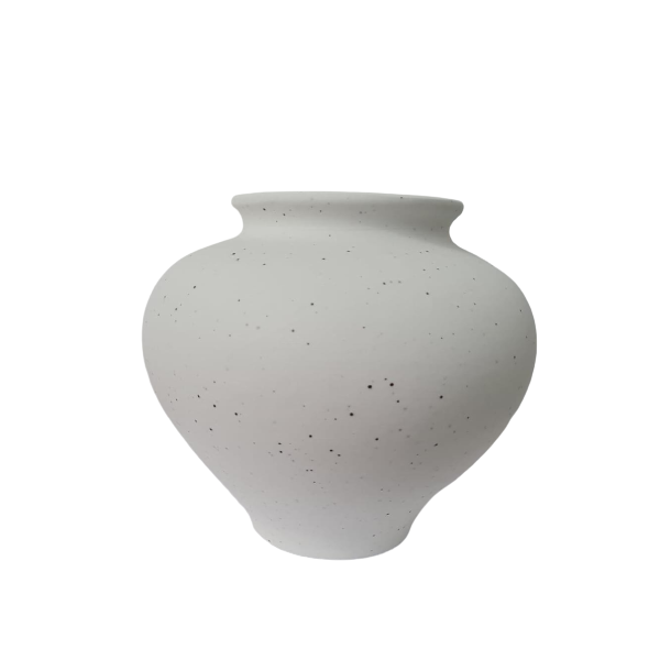 65300 removebg preview