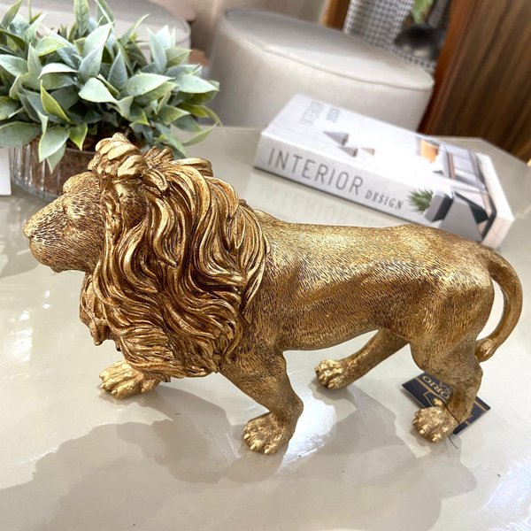 whatsapp image 2024 07 01 at 13 30 29 1