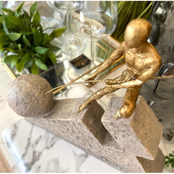 whatsapp image 2025 02 26 at 17 20 24