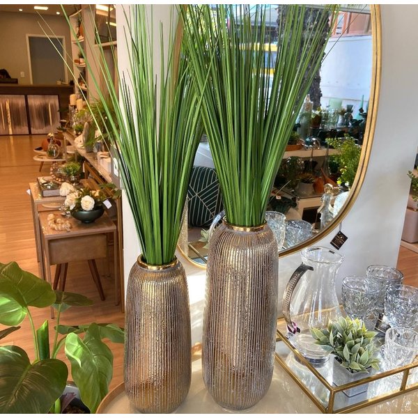 whatsapp image 2025 02 27 at 14 30 29