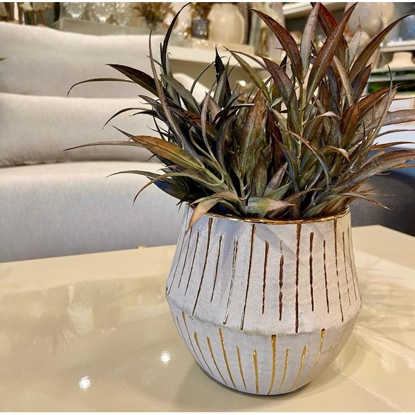 whatsapp image 2025 02 27 at 14 32 35 2