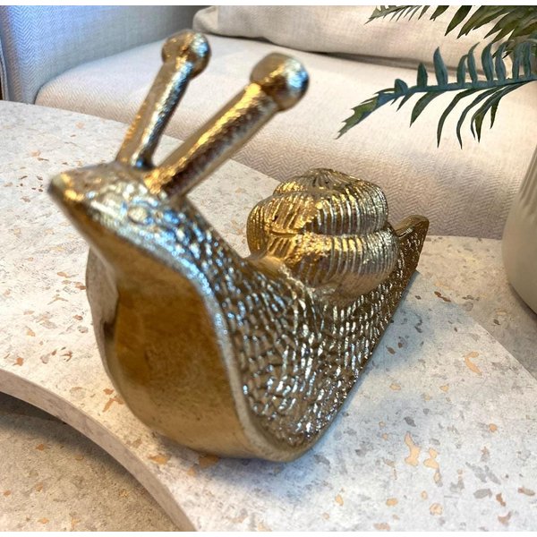 whatsapp image 2025 03 06 at 16 24 34