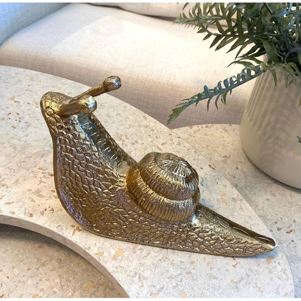 whatsapp image 2025 03 06 at 16 24 35 1