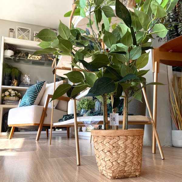 whatsapp image 2025 05 27 at 14 04 10 1