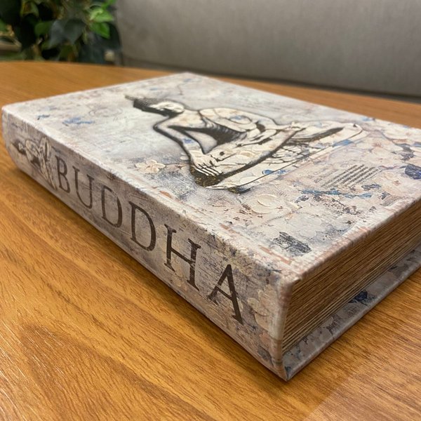 whatsapp image 2025 07 09 at 17 41 06