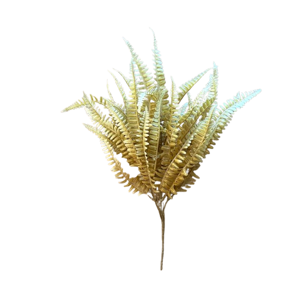 whatsapp image 2025 09 24 at 16 40 17 1 removebg preview